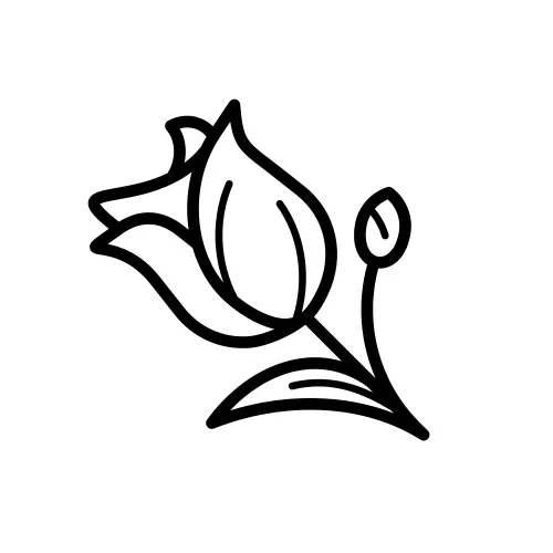 Lupyd